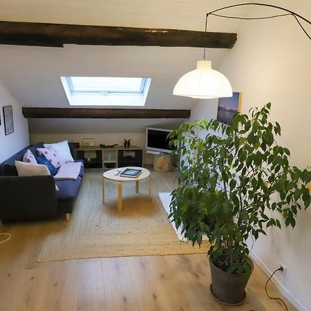 Petit-Coeur Charmant En Centre Ville Apartamento Annecy Exterior foto