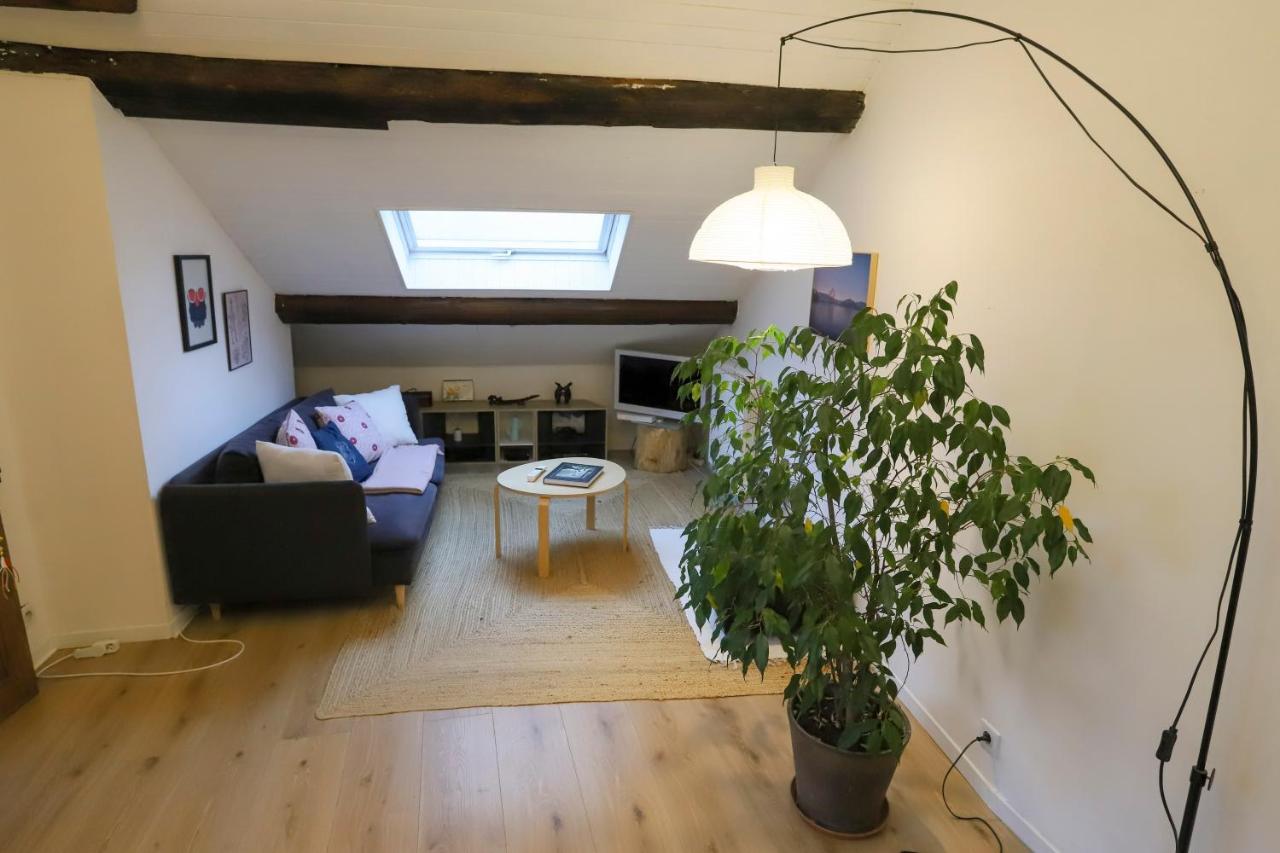 Petit-Coeur Charmant En Centre Ville Apartamento Annecy Exterior foto