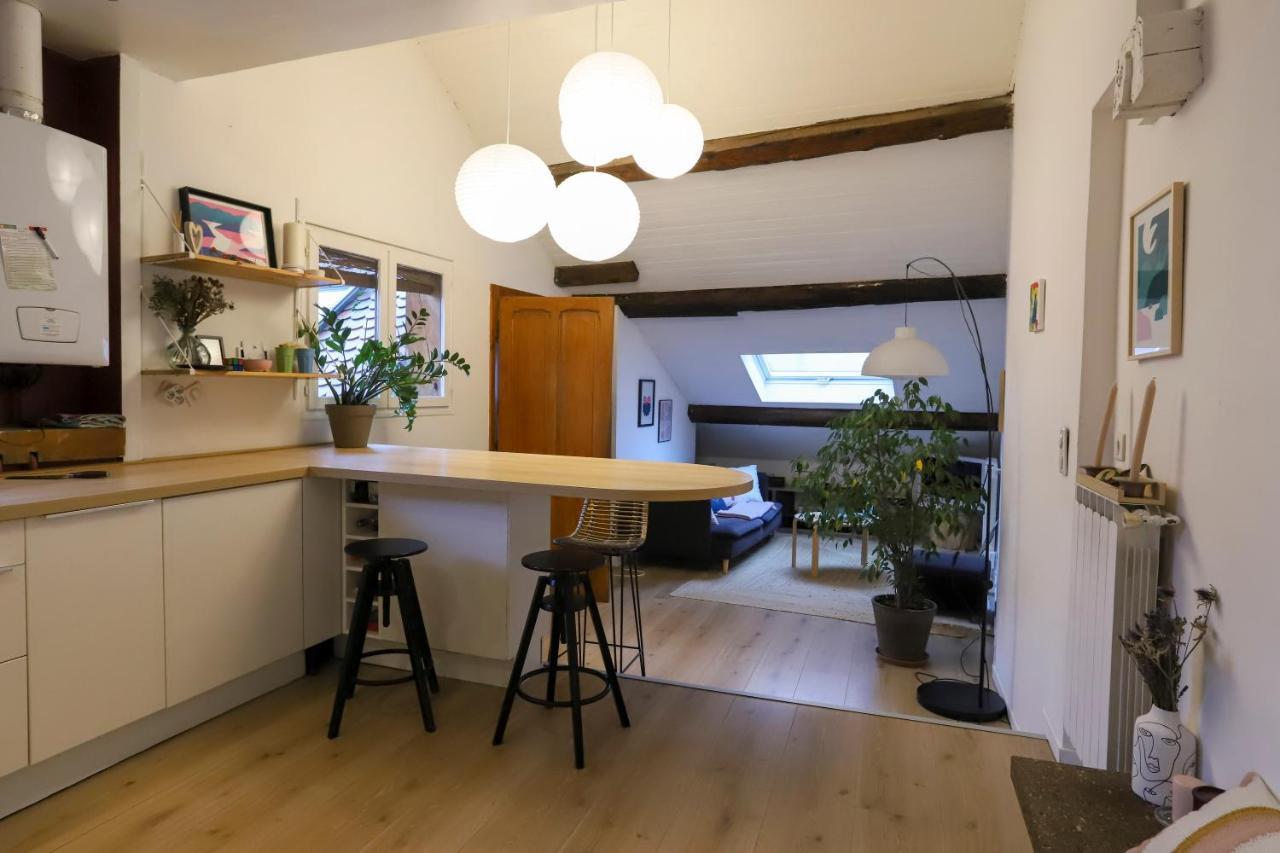 Petit-Coeur Charmant En Centre Ville Apartamento Annecy Exterior foto