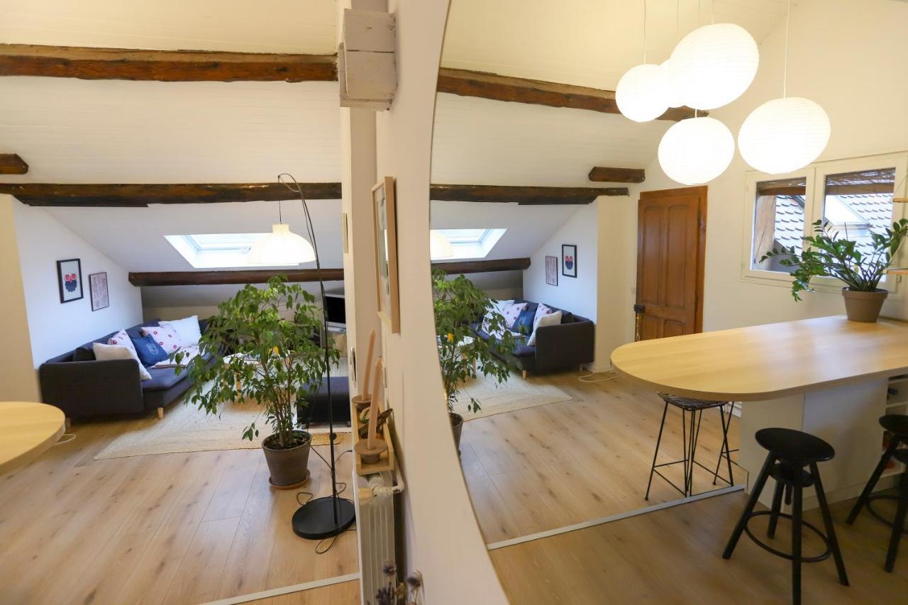 Petit-Coeur Charmant En Centre Ville Apartamento Annecy Exterior foto